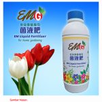 Kenapa Wajib Untuk Membekal Durian Matang Dengan Baja Foliar Magnesium, Kalsium Dan Boron ?