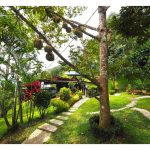 Perbezaan Hasil Durian Antara Kawasan Tropika Seperti Malaysia Dan Kawasan Subtropika Seperti Thailand