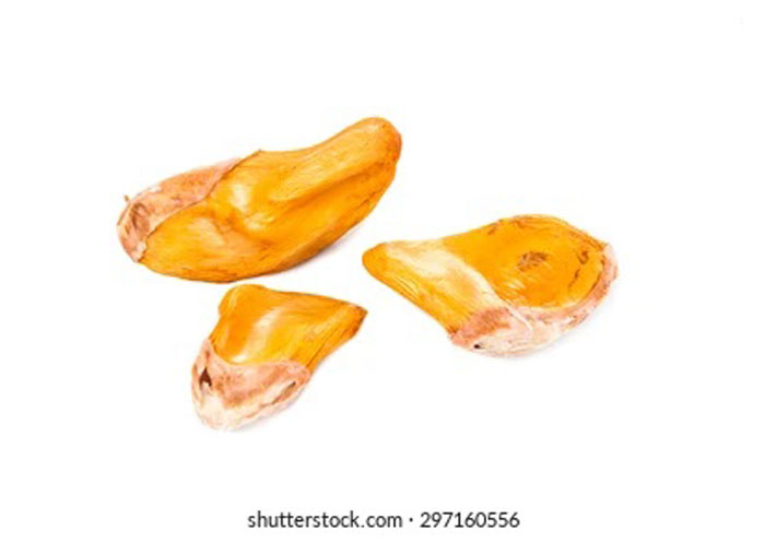 You are currently viewing Kenapa Kebanyakan Durian Musang King Berbiji Kesep ?