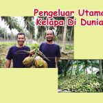 Pengeluar Utama Kelapa Di Dunia