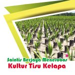 Saintis Berjaga menerobos Kultur Tisu Kelapa