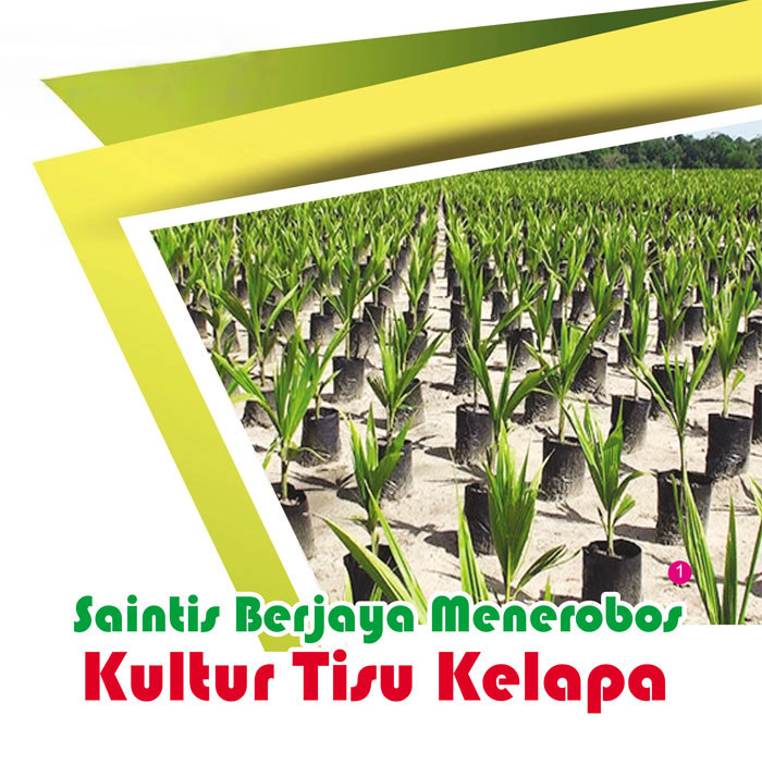Read more about the article Saintis Berjaga menerobos Kultur Tisu Kelapa