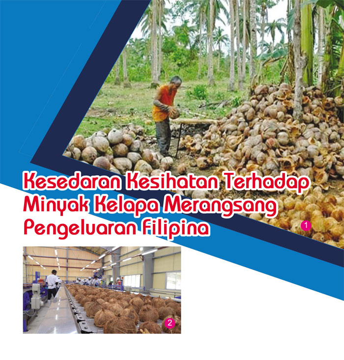 Read more about the article Kesedaran Kesihatan Terhadap Minyak Kelapa Merangsang Pengeluaran Filipina