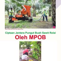 Ciptaan Jentera Pungut Buah Sawit Relai Oleh MPOB