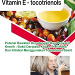 Potensi Rawatan Keradangan Dan Penyakit Kronik: Bukti Daripada Kajian Praklinikal Dan Klinikal Menggunakan Tokotrienol Sawit