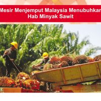 Mesir Menjemput Malaysia Menubuhkan Hab Minyak Sawit