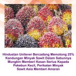 Hindustan Unilever Bercadang Memotong 25% Kandungan Minyak Sawit Dalam Sabunnya Mungkin Memberi Kesan Serius Kepada Pekebun Kecil, Perikatan Minyak Sawit Asia Memberi Amaran