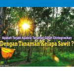 Apakah Terjadi Apabila Tanaman Getah Diintegrasikan Dengan Tanaman Kelapa Sawit?