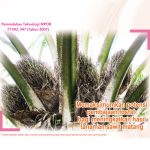 Memaksimumkan potensi pembajaan fosfat bagi meningkatkan hasil tanaman sawit matang