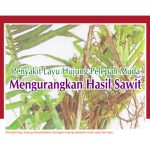 Penyakit Layu Hujung Pelepah Muda Mengurangkan Hasil Sawit