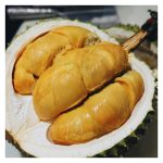 Jika Keluasan Kebun Di Malaysia Hanya 1-2 Ekar, Agaknya Apa Jenis Tanaman Yang Berbaloi Untuk Diusahakan ?