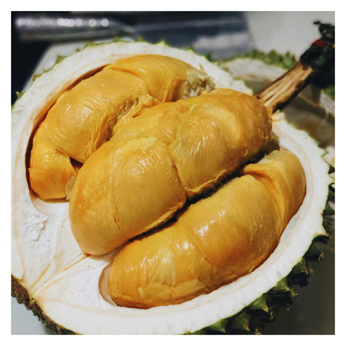 Read more about the article Jika Keluasan Kebun Di Malaysia Hanya 1-2 Ekar, Agaknya Apa Jenis Tanaman Yang Berbaloi Untuk Diusahakan ?