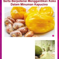 Biji Nangka Kaya Dengan Protein Serta Berpotensi Menggantikan Koko Dalam Minuman Kapucino