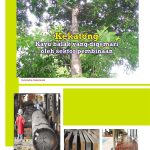 Kekatong Kayu balak yang digemari oleh sektor pembinaan