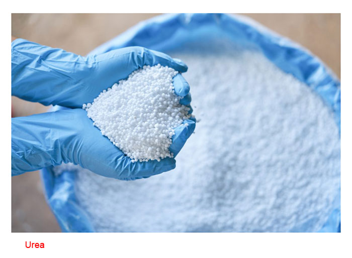 You are currently viewing Bagi Meningkatkan Produktiviti Tanaman Buah Di Malaysia, Apakah Sumber Nitrogen (N) Yang Lebih Sesuai Digunakan ?