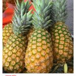 Selain Durian, Apakah Jenis Buah-buahan Di Malaysia Yang Berpotensi Cerah ?