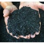 Apakah Biochar ? Apakah Kegunaannya Terhadap Tanaman Dan Cara Aplikasi ?