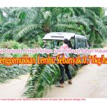 Silaj Daripada Pelepah kelapa Sawit Sebagai Bahan Makanan Menggemukkan Lembu Sebanyak 0.75kg/hari