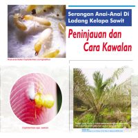 Serangan Anai-Anai Di Ladang Kelapa Sawit. Peninjauan dan Cara Kawalan