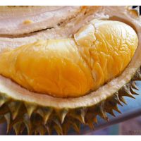 Cara penanaman durian secara berpasangan (baka berlainan) kononnya membawa manfaat dari segi peningkatan kadar pendebungaan dan pengeluaran hasil, serta peningkatan cita rasa buah, adakah kata ini benar?