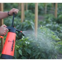 Cili adalah tanaman renek yang cepat berbuah. Oleh itu semburan baja foliar malah biostimulan dijangka membawa kesan positif yang ketara, Adakah benar kenyataan ini ?