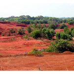 Kenapa banyak tanah hutan di Malaysia berwarna merah coklat ?
