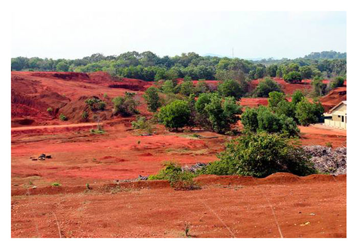 You are currently viewing Kenapa banyak tanah hutan di Malaysia berwarna merah coklat ?