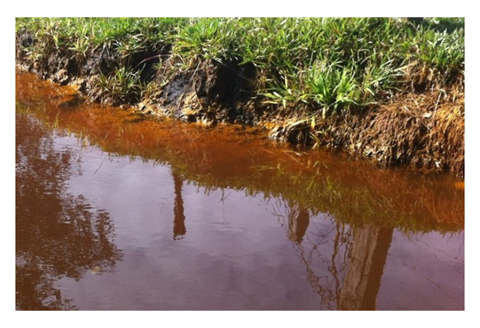 You are currently viewing Kenapa tanaman yang tumbuh atas tanah asid sulfat amnya tumbesaran kurang memuaskan ?