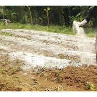 Apa kaedah untuk memperbaiki kesuburan tanah masam di Malaysia?