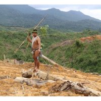 Sejauh manakah hasil terkini yang diperolehi oleh syarikat perladangan sawit Malaysia yang mengembangkan penanaman sawit di benua Afrika ?