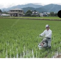 Seorang Petani Jepun Menghasilkan Padi Berproduktiviti Tinggi: Teknologi yang Boleh Dicontohi oleh Petani Malaysia