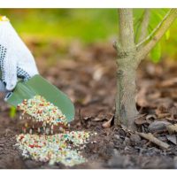 Apa Kegunaan Baja Campuran (Bulk Fertilizer) untuk Tanaman di Malaysia ?  
