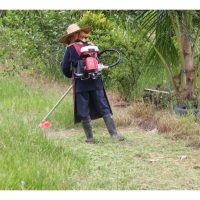 Memotong rumput kemudian menyembur larutan mikrob merupakan kaedah yang sangat memanfaatkan tanaman di kebun. Beri contoh seorang pekebun yang berjaya menerap cara ini di kebun pisangnya di Malaysia