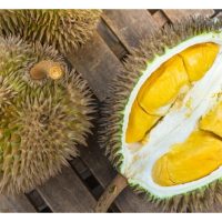 Dalam proses cantuman pokok durian, oleh sebab baka pokok penanti adalah berbeza dari baka sion, adakah keadaan ini akan mengubah cita rasa hasil buah nanti?