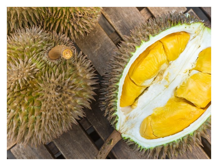 You are currently viewing Dalam proses cantuman pokok durian, oleh sebab baka pokok penanti adalah berbeza dari baka sion, adakah keadaan ini akan mengubah cita rasa hasil buah nanti?