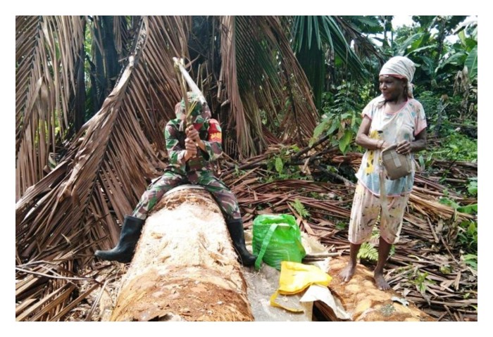 Read more about the article Kerajaan harus menggalak penanaman sagu di kawasan tanah gambut di Malaysia kerana kesesuainnya terhadap jenis tanah ini, serta berpotensi cerah ?