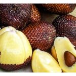 Huraian lengkap mengenai kos dan pulangan penanaman tanaman salak di Malaysia dalam keluasan satu hektar