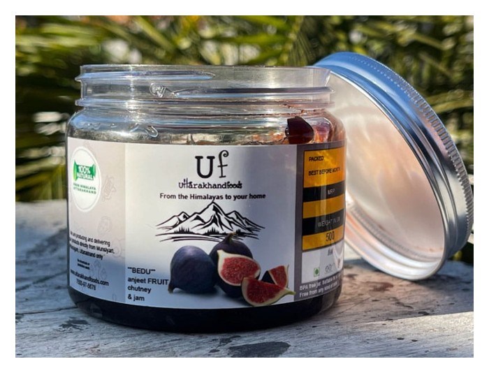 Read more about the article Prospek tanaman buah ara di Malaysia serta potensi komersial di sektor hiliran.