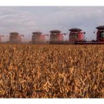 Brazil kebelakangan ini banyak menukar ladang rumput ragut dan ternakan kepada ladang tanaman soya sebagai persediaan untuk menerima tempahan merancak dari merata dunia khususnya China?