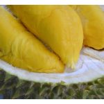 Andaikan umur pokok Musang King sama-sama 20 tahun, dan segala amalan agronomi dijalankan dengan sama termasuk ditanam di tanah yang serupa, adakah pokok dari biji benih akan mempunyai cita rasa isi buah yang lebih tinggi daripada pokok cantuman ?