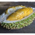 Tupai 226 Durian Termahal di Pasaran – Tanda Durian Baharu Dihargai atau Kualiti Sebenar Luar Biasa?