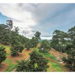 (Kisah Motivasi) Seorang penanam durian di kawasan bukit berbatu di Thailand yang telah berjaya menghasilkan buah penuh cita rasa.