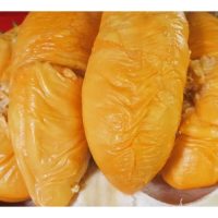 Durian yang tumbuh dari biji benih amnya menghasilkan buah yang lebih lazat berbanding pokok cantuman khususnya di kawasan bukit batu? Apa sebabnya?