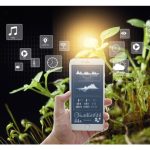 Pemodenan Pertanian Malaysia: Teknologi Mendarat atau Sekadar Gimik?