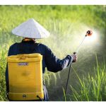 Racun Menyuap Tanah ? — Harga Mahal Penggunaan Racun Pertanian Secara Berlebihan