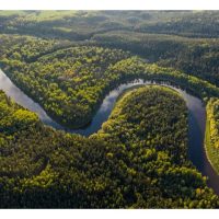 “Supercrop” Tersembunyi di Hutan Amazon Brazil – Harapan Masa Depan untuk Manusia?
