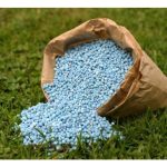 Memilih baja dari sumber sah adalah pilihan terbaik pada akhirnya untuk pekebun sawit dan tanaman lain?