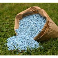 Memilih baja dari sumber sah adalah pilihan terbaik pada akhirnya untuk pekebun sawit dan tanaman lain?