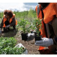 Apa yang diberatkan dalam ‘Pertanian Janaan Semula (regenerative agriculture)? Bagaimana untuk memasukkan disiplin ini ke bidang pertanian?