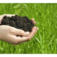 Apa perbezaan di antara baja mikoriza dan baja bio serta perbandingan keberkesanannya terhadap prestasi tanaman?